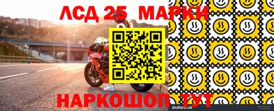 соль ск Новозыбков