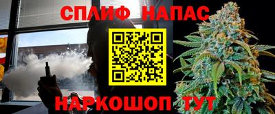 альфа пвп Новодвинск