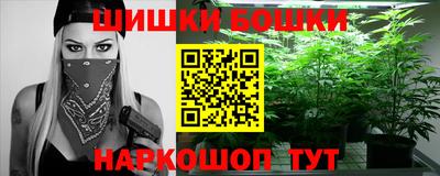 соль ск Новозыбков